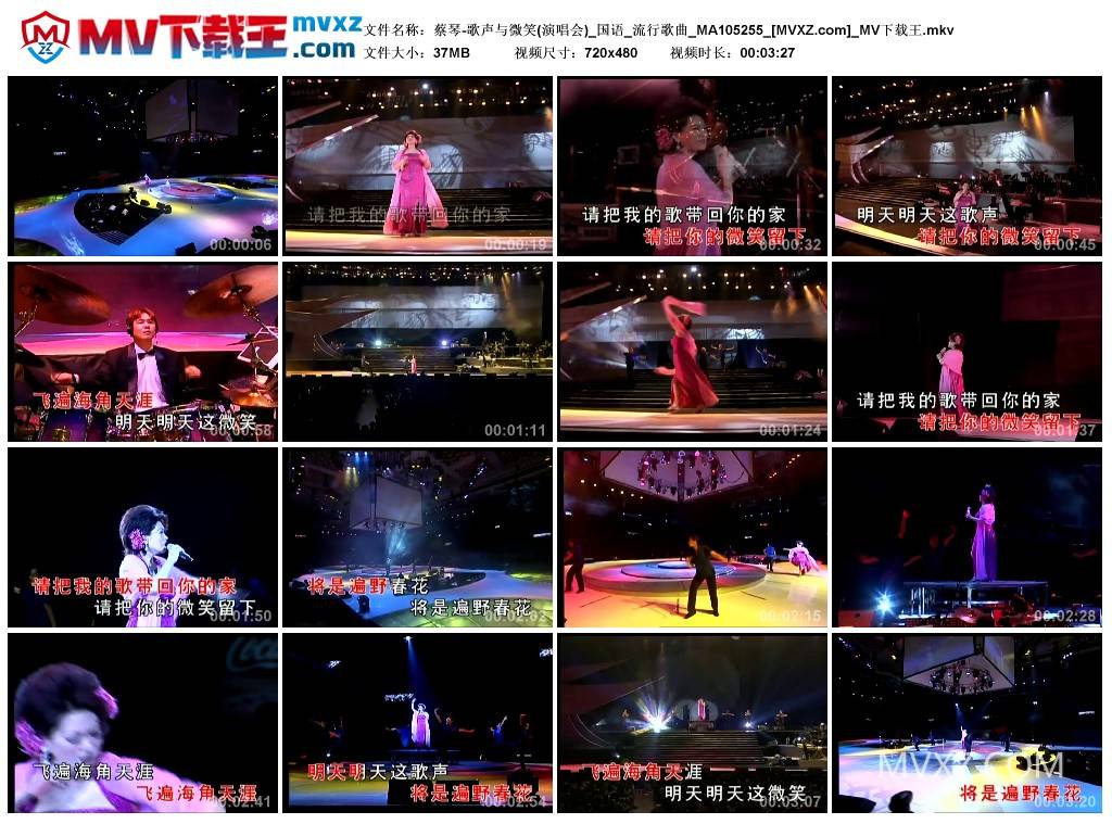 蔡琴-歌声与微笑(演唱会)_国语_流行歌曲_MA105255